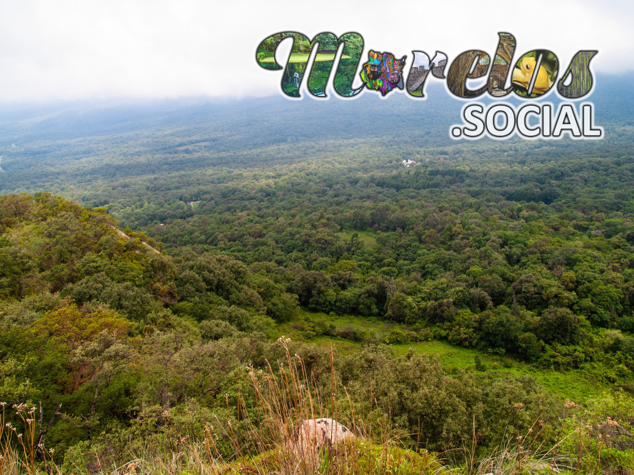 Paisaje del bosque al norte del pueblo mágico de Tepoztlán, Morelos visto desde el Cerro de la Luz